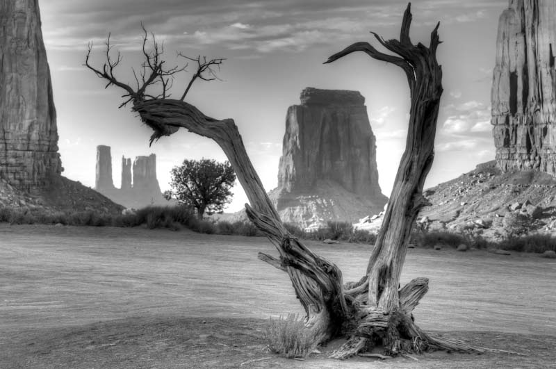 USA_2013_4774_hdr_BW