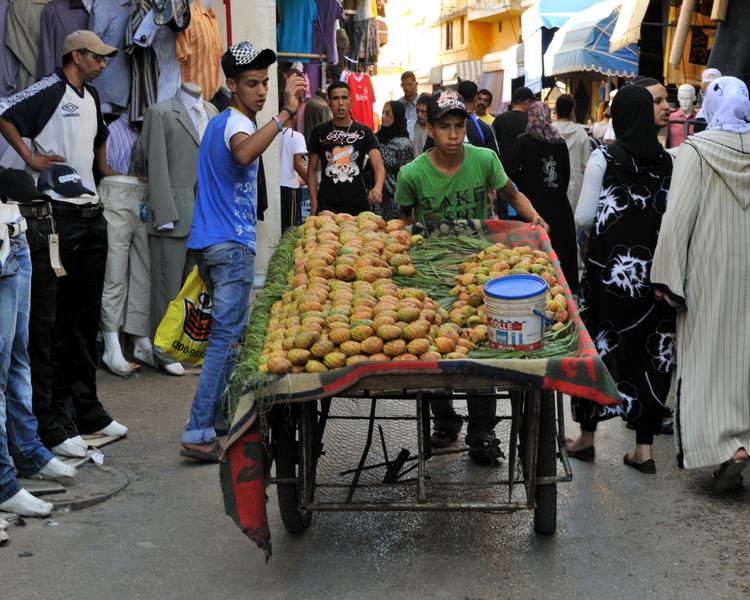 meknes_2010_MEK_6859