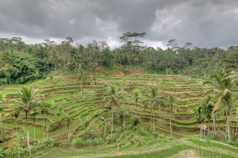 bali_2012_BAL3273_hdr