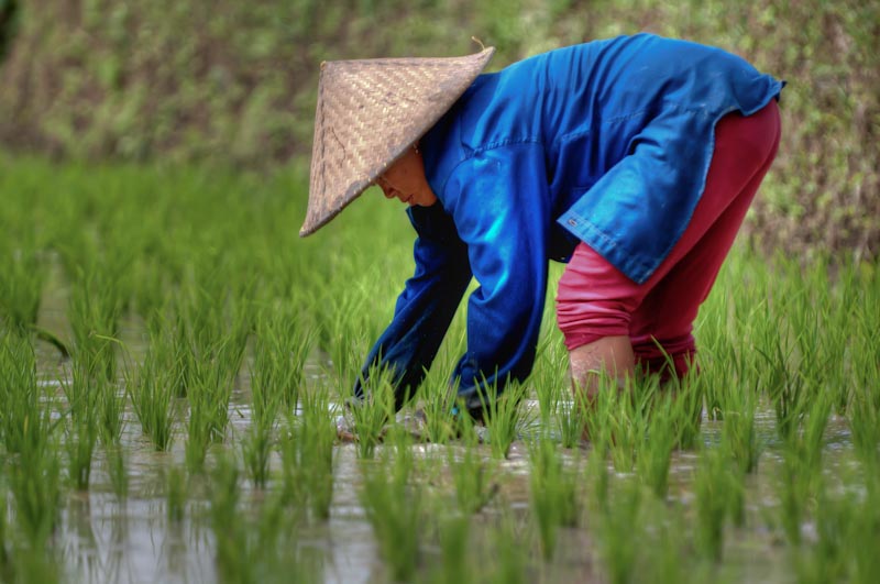 bali_2012_BAL3364_hdr