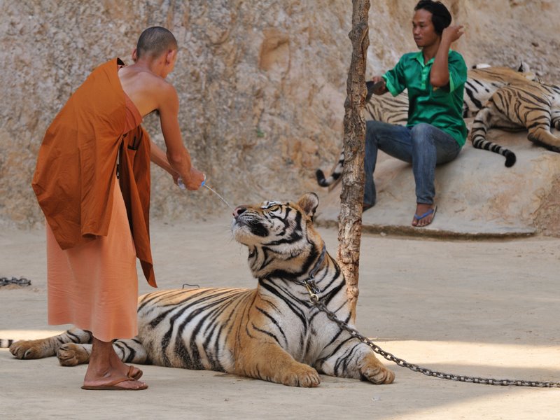 kanchanaburi_2010_KAN_5864