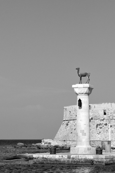 rodi_2011_ROD_8692