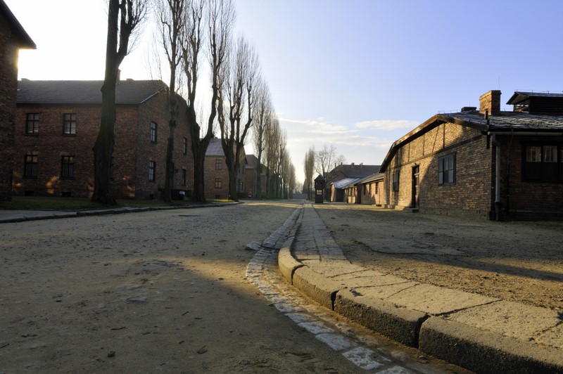 auschwitz_2009_2176