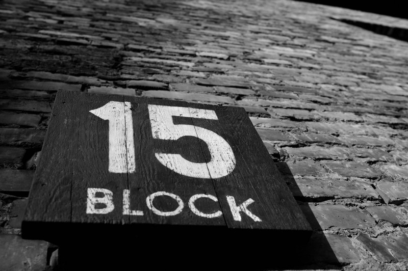 auschwitz_2009_2179