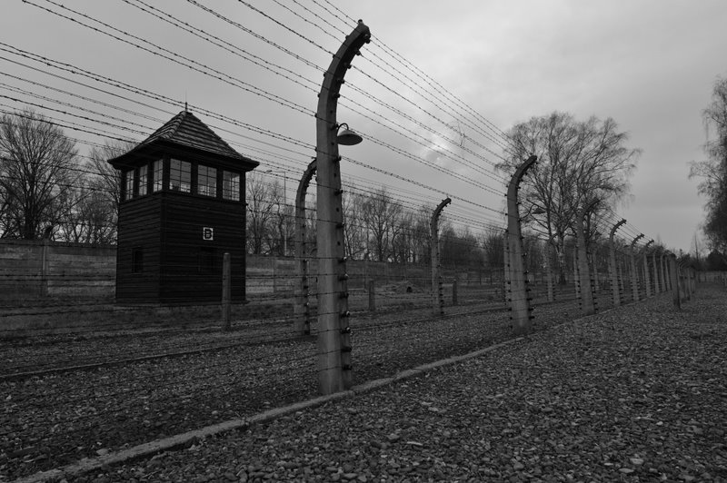 auschwitz_2009_2184