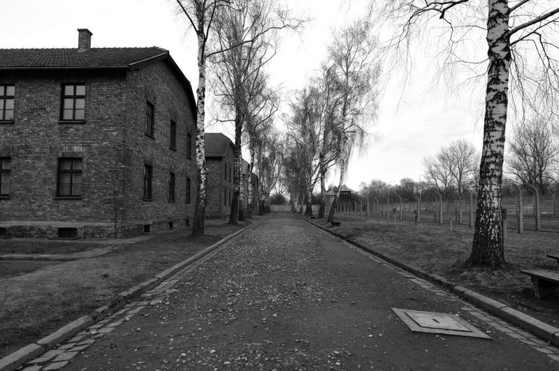 auschwitz_2009_2185