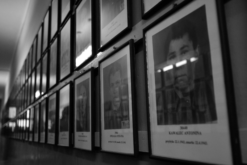 auschwitz_2009_2191
