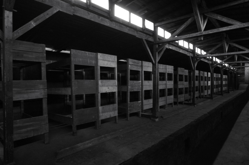 auschwitz_2009_2220